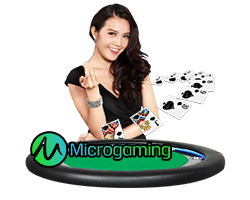microgaming - WY88